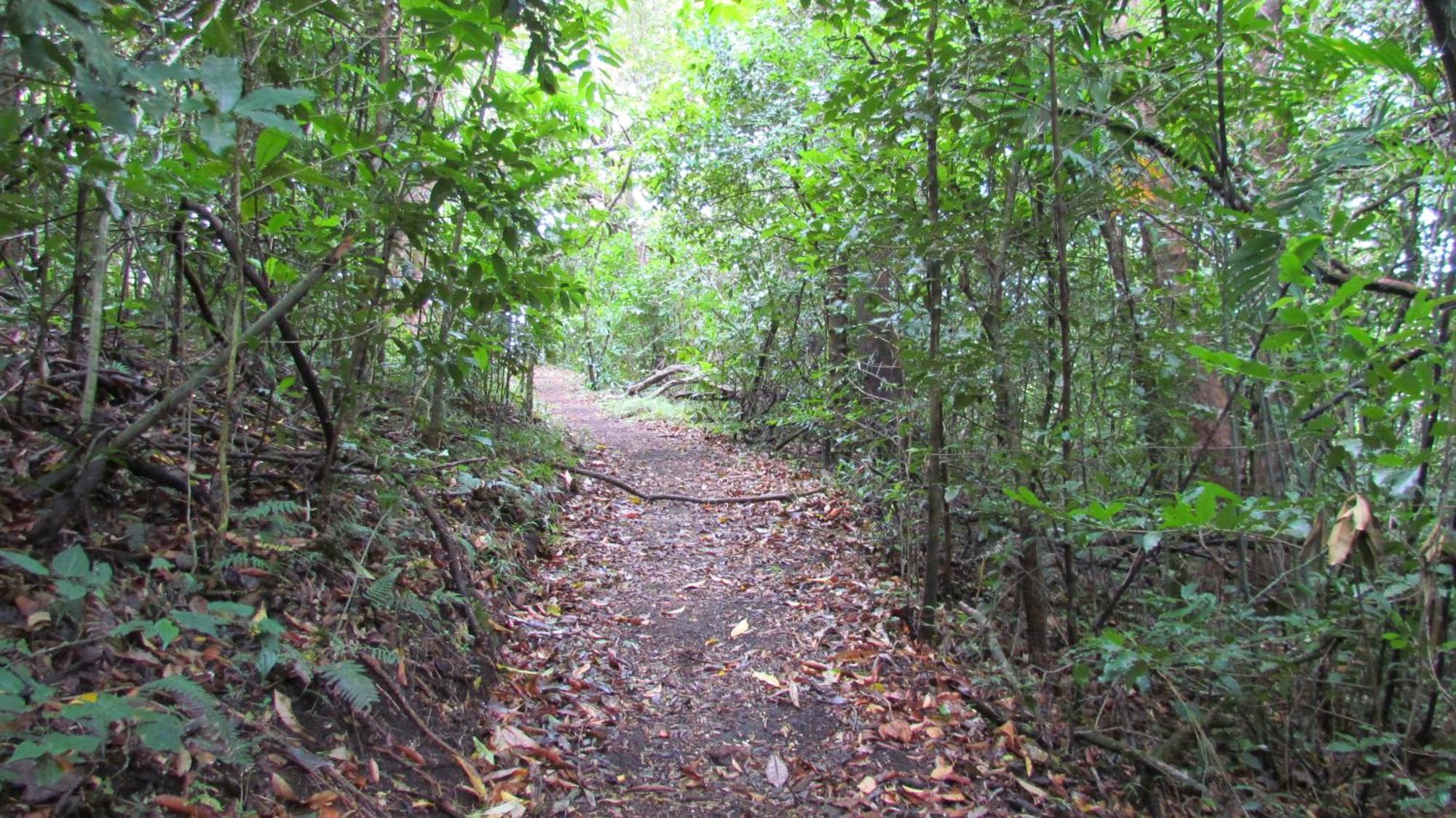 Santuario Ecologico Monteverde Exterior foto